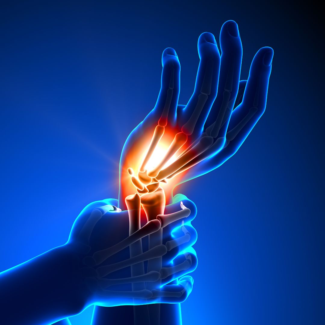 wrist anatomy